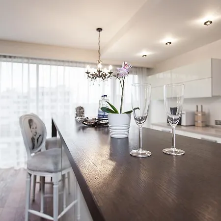 Isskirtines Prabangos Apartamentai Su Jacuzzi Ir Sauna Vilnius